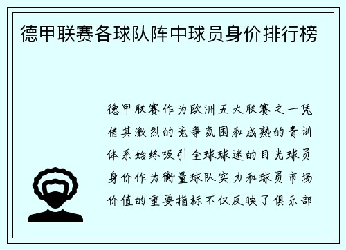 德甲联赛各球队阵中球员身价排行榜